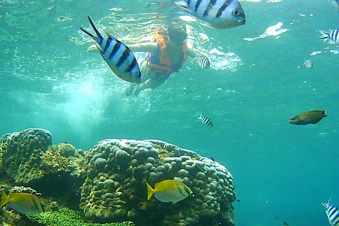 Mr. Tu Day Trip to Angthong Marine Park by Speed Boat from Koh Samui - Ko Mae Ko: craggy beaches, a hike, and the Emerald Lake reveal
