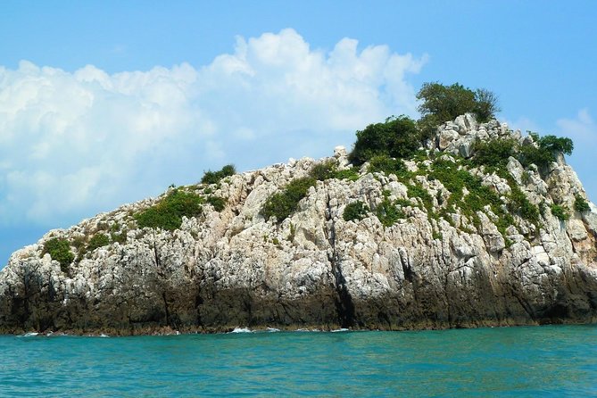 Mr. Tu Fishing Day Trip by Escort Boat from Koh Samui - Weather and expectations: what can change mid-day