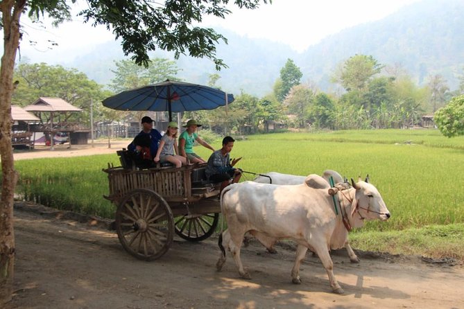 Nakhon Nayok adventure full day trip with lunch - Whitewater rafting on the Nakhon Nayok River: your main event