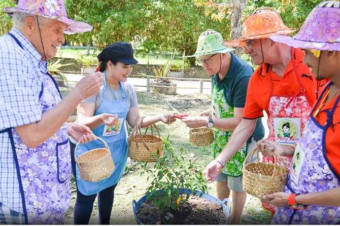 Nang Yam Thai Cooking Experience Full Day Tour, Museum & Samet Nangshe Viewpoint - Open-Air Farm Cooking at Benyaran Park: Five Dishes You Can Replicate