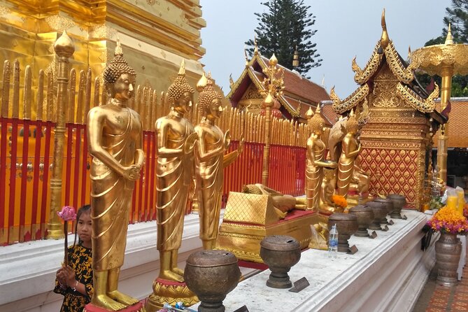 No.1 Chiang Mai: 3-Hour Monk Trail Hike to Wat Doi Suthep & Palad - Stop-by-Stop: What Each Part of the Day Actually Gives You