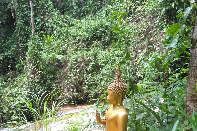 No.1 Chiang Mai: 3-Hour Monk Trail Hike to Wat Doi Suthep & Palad - Wildlife, Plants, and Why the Guides Matter