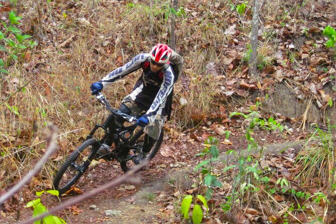 No.1 Chiang Mai: Advanced Downhill Mountain Biking, Suthep N.Park - Stop 2: Huay Tueng Thao, lunch by the lake, then a swim