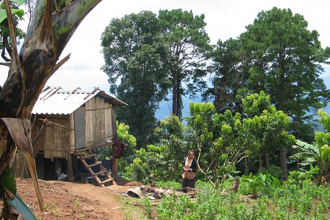 No.1 Chiang Mai: Advanced Downhill Mountain Biking, Suthep N.Park - Who should book this advanced downhill ride