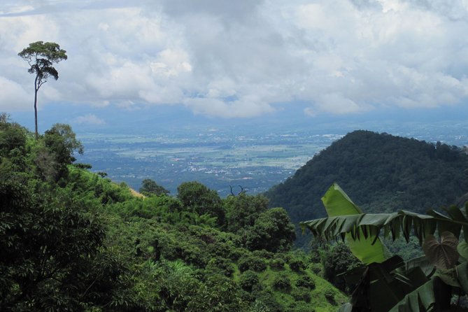 No.1 Chiang Mai: Advanced Downhill Mountain Biking, Suthep N.Park - Should you book No.1 Chiang Mai: Advanced Downhill Mountain Biking near Suthep?