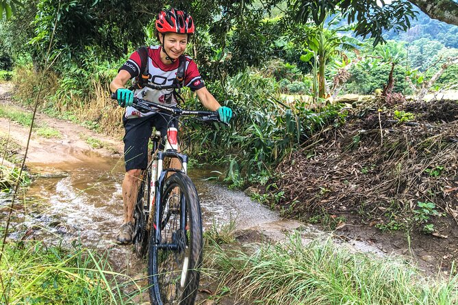 No.1 Chiang Mai: Advanced Downhill Mountain Biking, Suthep N.Park - Stop 1: Doi Suthep-Pui National Park and the forest downhill you came for