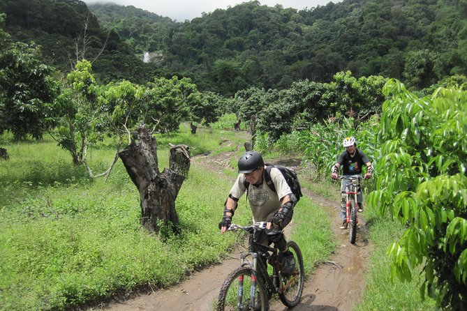 No.1 Chiang Mai: Advanced XC Downhill Biking, Doi Suthep N. Park - Starting at 9:30, Getting Oriented, and Testing the Bike Before You Drop In