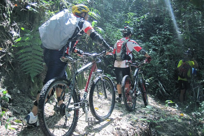No.1 Chiang Mai: Advanced XC Downhill Biking, Doi Suthep N. Park - Ending at Lake Huay Tueng Tao: Lunch, Recovery, and a Real Finish Line