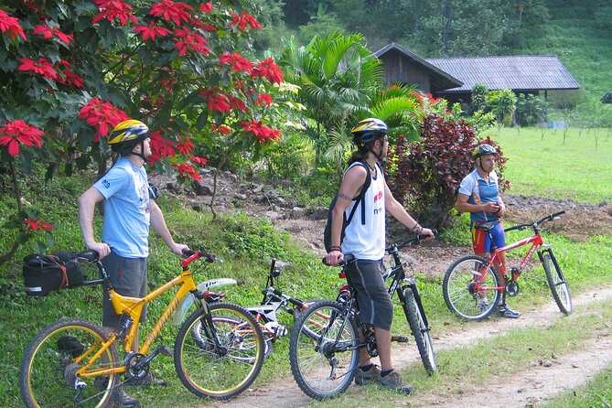 No.1 Chiang Mai: Advanced XC Downhill Biking, Doi Suthep N. Park - Equipment, Safety, and Support: You Don’t Ride Alone Here