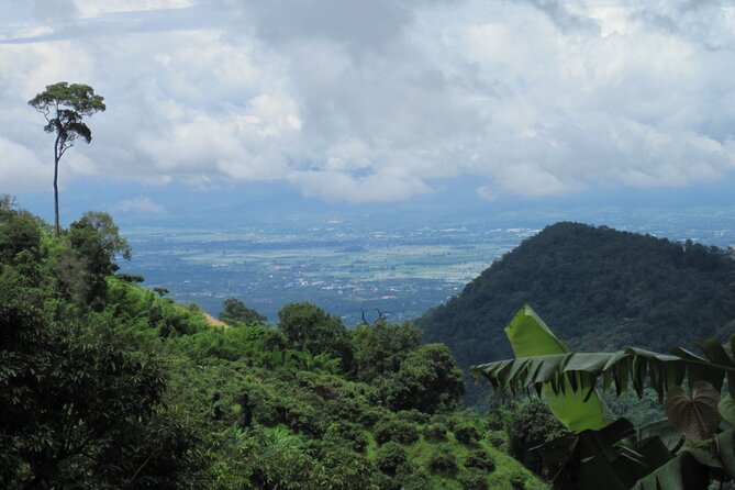 No.1 Chiang Mai: Advanced XC Downhill Biking, Doi Suthep N. Park - Price and Value: What $80.67 Buys You (and What’s Extra)