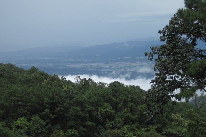 No.1 Chiang Mai: Advanced XC Downhill Biking, Doi Suthep N. Park - Who This Tour Fits Best (and Who Might Want to Look Elsewhere)