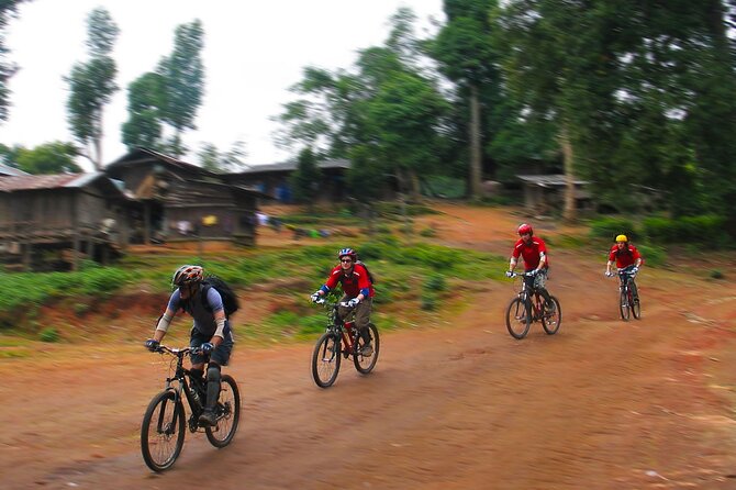 No.1 Chiang Mai: Epic Doi Suthep Downhill MTB Adventure - Climbing to Doi Suthep National Park: Where the Ride Really Starts