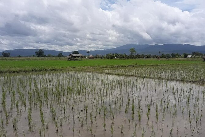 "No.1 Chiang Mai: Leisure Bicycle Ride to Lake Huay Tueng Tao" - Before You Pedal: Pro-Shop Bikes, Helmets, and the Short Orientation