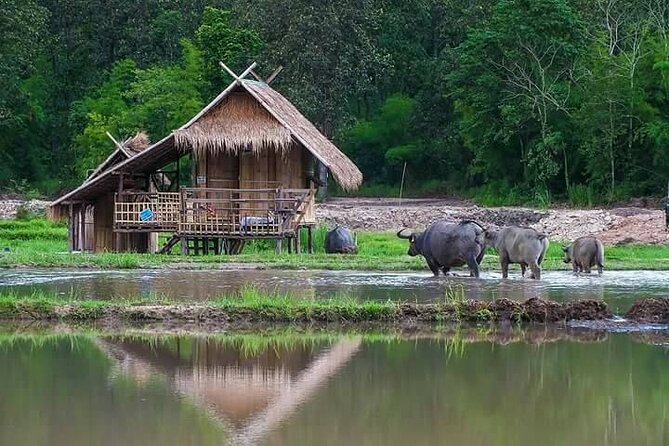 "No.1 Chiang Mai: Leisure Bicycle Ride to Lake Huay Tueng Tao" - The Guides: Friendly, English-Speaking, and Patient When Needed
