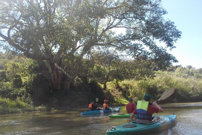 No.1 Chiang Mai: Leisure River Kayaking: Mae Taeng forest Reserve - Mae Taeng Forest Reserve Kayaking: What Makes This Stretch Worth It
