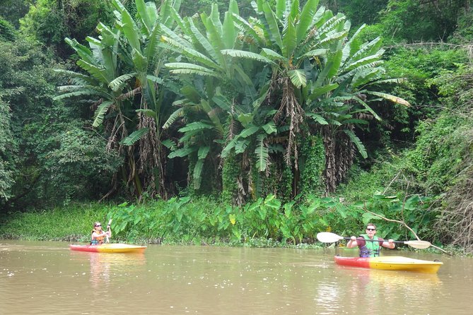 No.1 Chiang Mai: Leisure River Kayaking: Mae Taeng forest Reserve - Price and Value: Is $74.95 a Good Deal Here?