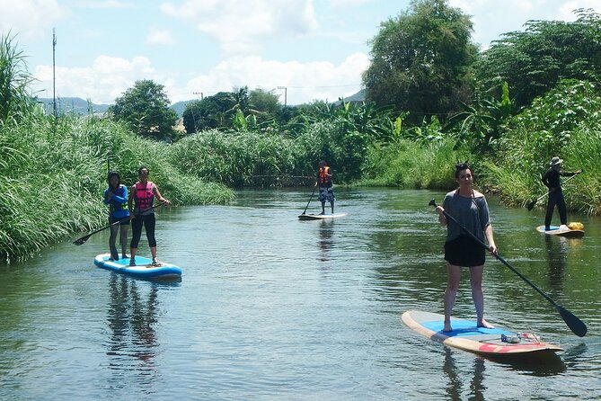No.1 Chiang Mai: Stand Up Paddle Board through Mae Taeng Forest - Launching on the Mae Ping River: calm water with real jungle surroundings