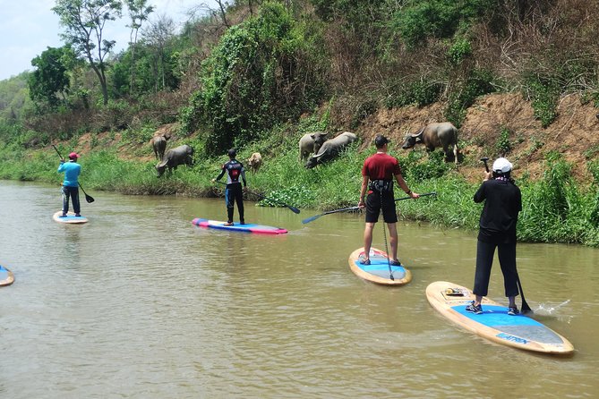 No.1 Chiang Mai: Stand Up Paddle Board through Mae Taeng Forest - The shop briefing: how beginners get comfortable fast