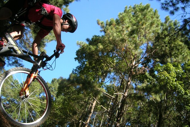 "No.1 Chiang Mai: Suthep N. Park Leisure walks & Mountain Biking" - Why This Route Combines City Views, Temples, and a Real Descent