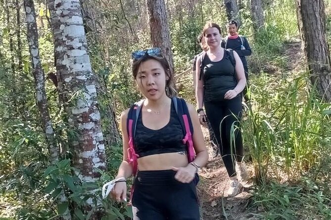 "No.1 Chiang Mai: Suthep N. Park Leisure walks & Mountain Biking" - Wat Pha Lat: Ancient Temple Break Before the Downhill Push