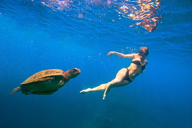 No Rush Morning & Afternoon 5 Stop Snorkeling tour for Koh Tao - Hin Wong Bay: coral gardens and fish-spotting work
