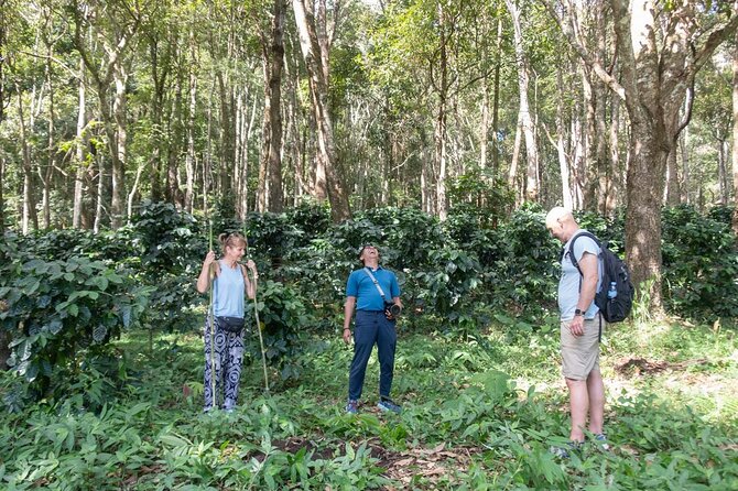 Off the Map Chiang Mai Jungle Coffee Trek Roast and Brew - V60 pour-over workshop: learning a method you can repeat