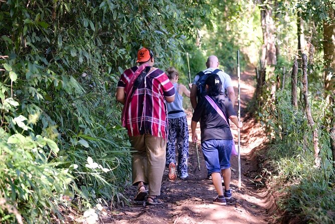 Off the Map Chiang Mai Jungle Coffee Trek Roast and Brew - Coffee walk through the forest: where you learn coffee plant reality