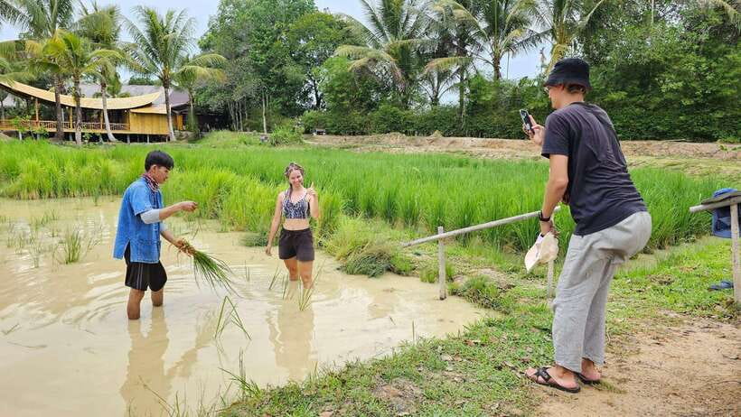 Old Phuket Farm Ticket - Countryside Local Life Culture - Who should book this Phuket farm tour