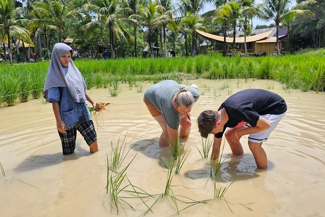 Old Phuket Farm Ticket - Countryside Local Life Culture - Price and value: what $36 buys in Phuket farm time