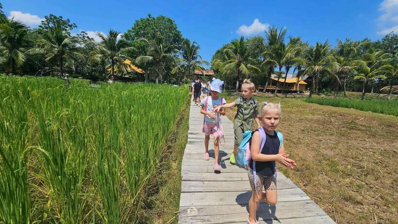 Old Phuket Farm Ticket - Countryside Local Life Culture - Small-group energy and why your guide matters