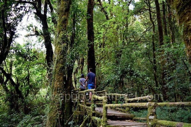 One day Doi Inthanon National Park & Trekking on Kew Mae Pan - Key moments worth circling on your calendar