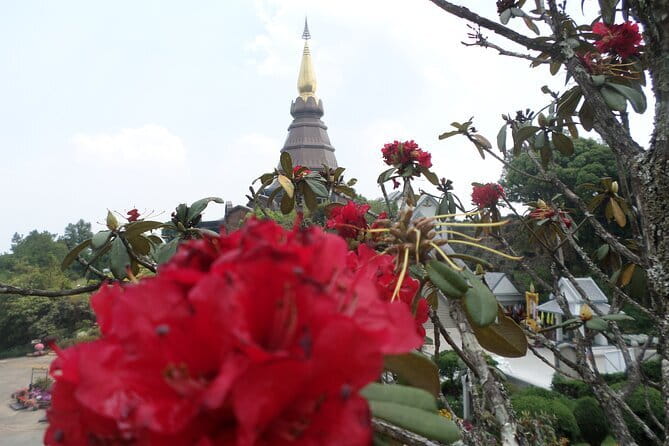 One day Doi Inthanon National Park & Trekking on Kew Mae Pan - Kew Mae Pan Nature Trail trek: 3.2 km over about two hours