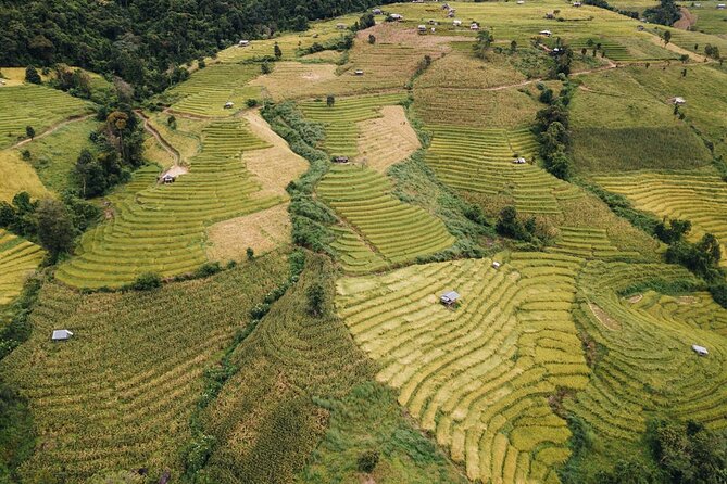 One day Doi Inthanon & Trekking at Pha Dok Siew - Price and value: $63.22 for a full day with transfers and insurance