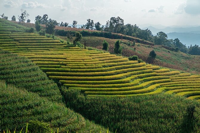 One day Doi Inthanon & Trekking at Pha Dok Siew - The morning start: getting on the bus without losing your mind