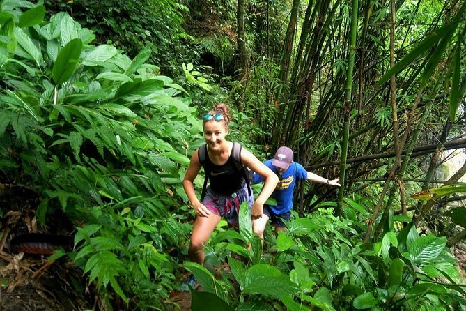 One Day Hiking and Elephant experience by Chiang Mai Elephant Home - Key Takeaways Before You Go