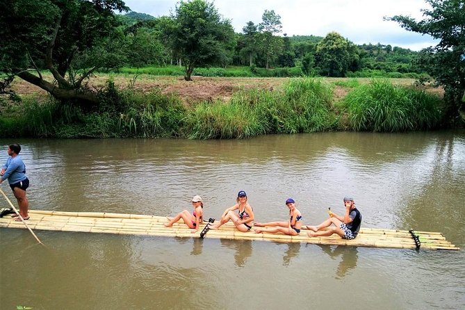 One Day Hiking and Elephant experience by Chiang Mai Elephant Home - Elephant Time with Carers and Mahouts: What the Reviews Emphasize