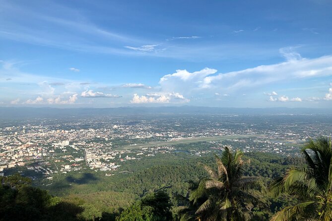 One Day Tour Doi Suthep Temple, Palad Temple, Orchid Farm, Longneck hill tribe village (Private tour) - A driver, a guide, and a day that actually runs on time
