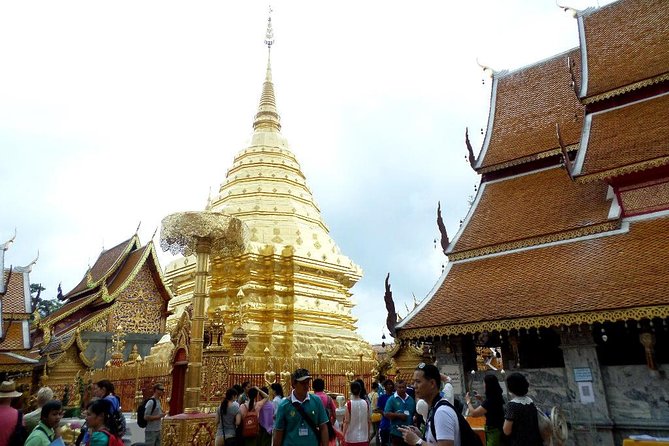 One Day Tour Doi Suthep Temple, Palad Temple, Orchid Farm, Longneck hill tribe village (Private tour) - Wat Pha Lat: the calmer temple stop halfway up
