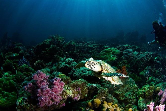 Open Water Diver Course - Equipment, materials, and what you do not have to buy