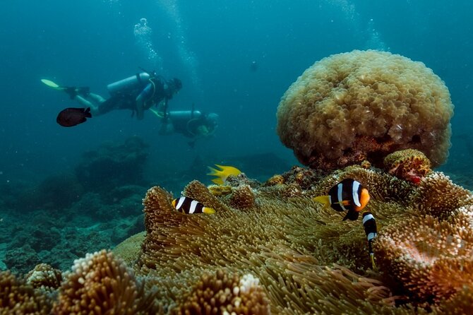 Open Water Diver Course - Small groups: why your instructor actually gets time with you