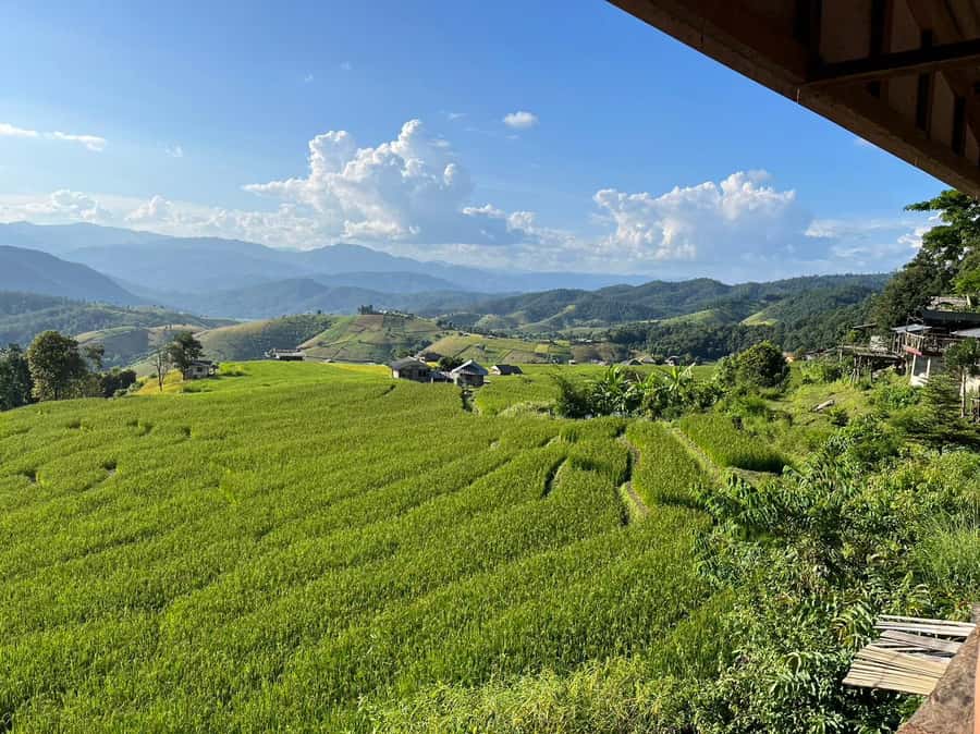 Pa Pong Piang Rice Terraces & Doi Inthanon National Park - Riding Up from Chiang Mai: When a Day Trip Feels Like a Reset