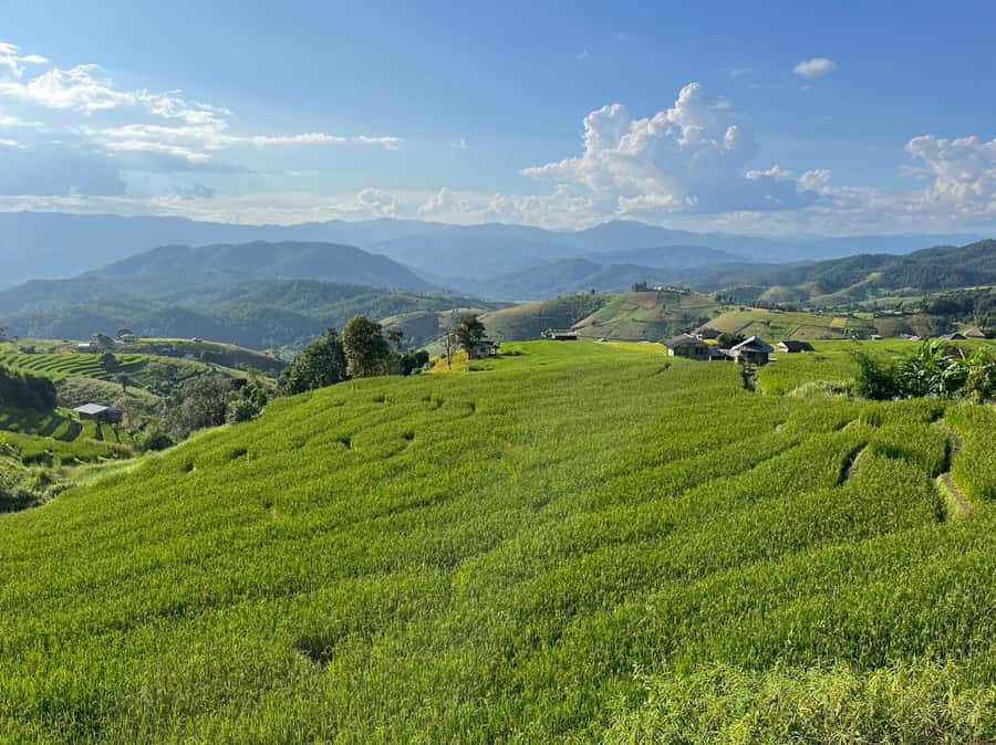Pa Pong Piang Rice Terraces & Doi Inthanon National Park - Wachiratharn Waterfall: Pretty, Practical, and Made for Stopping