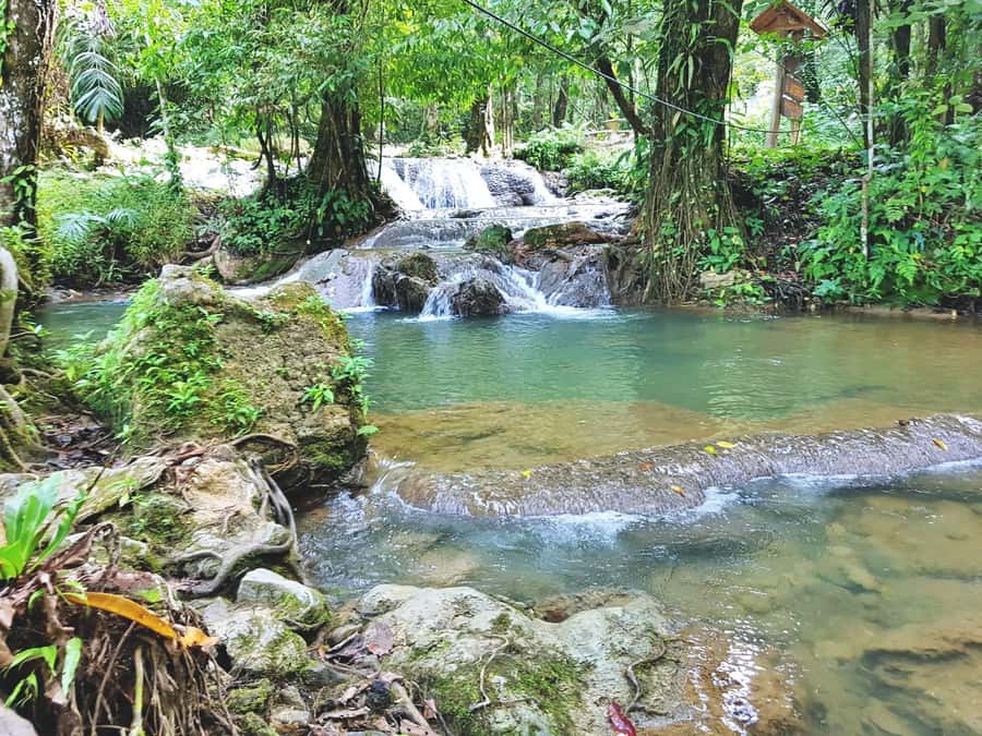 Pa Tong: Rainforest Day Trip with Cave, Rafting, ATV & Lunch - Wat Suwan Khuha Temple (Monkey Cave): the quick nature-and-cave stop