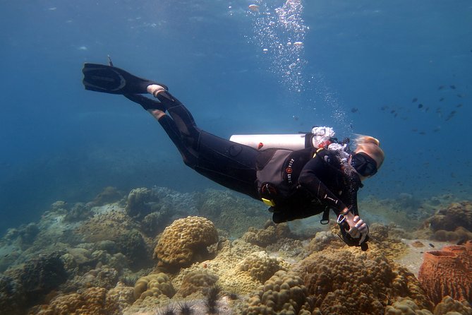 Padi Advanced open Water Diver Courses (Start at Koh Chang) - Core skill two: navigation that helps you stay oriented