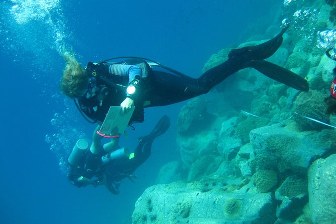 Padi Advanced open Water Diver Courses (Start at Koh Chang) - Picking your 3 electives: choose what makes you keep diving after the course