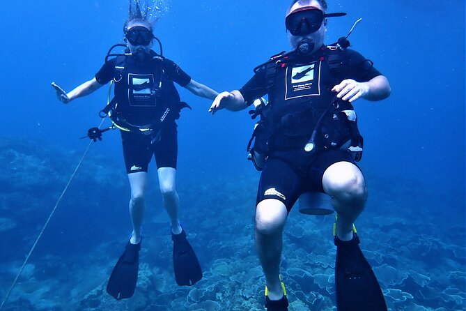 PADI Discover Scuba Dive Experience - Key Points You’ll Care About
