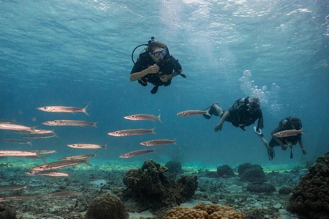 PADI Discover Scuba Diving Experience Full Day Trip - Is the $97 price actually good value?