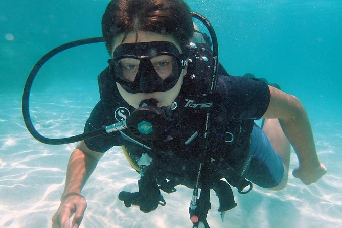 PADI Discover Scuba Diving in Koh Tao - half day and two dives - Price and what you actually get for $121