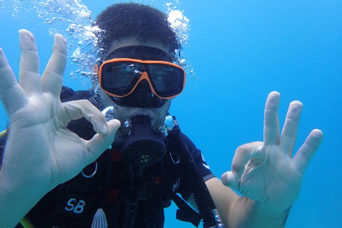 PADI Discover Scuba Diving in Koh Tao - half day and two dives - One-hour surface break: snacks, coffee, and catching your breath
