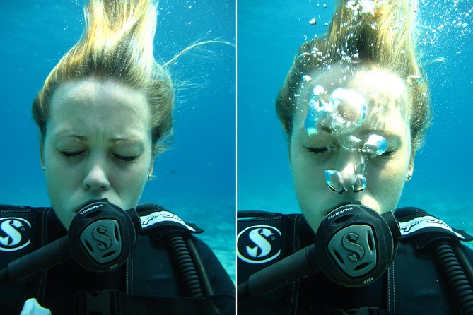 Padi open water diver course, become a diver in 3 days - Pricing and What You’re Actually Getting for $586.74